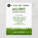 Search for yard flyers Grass