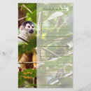 Search for squirrel monkey Monkeys