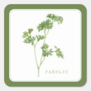 Search for parsley stickers Garden