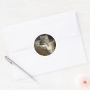 Search for laundry round stickers Cute