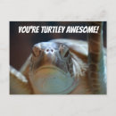 Search for funny turtle postcards Pun