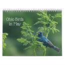 Search for ohio photography Birds
