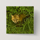Search for hide badges Wildlife