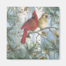 Search for birch magnets Red