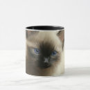 Search for innocent mugs Sweet