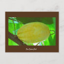 Search for bean horizontal postcards Postcrossing