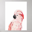 Search for cockatoo posters Watercolor