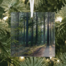 Search for black forest christmas tree decorations Woods