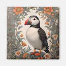 Search for puffins magnets Atlantic puffin
