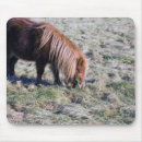 Search for grazing mouse mats Outdoors
