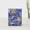 Search for blue hydrangeas photography Garden