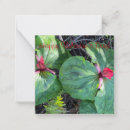 Search for giant seasonal cards Happy