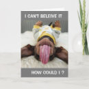 Search for belated birthday cards Dog