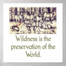 Search for preservation posters Nature