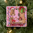 Search for zoo animal christmas tree decorations Animals