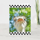 Search for polka dot photo cards Funny