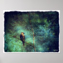Search for waxwing posters Wildlife