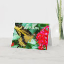 Search for butterfly image cards Flower