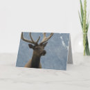 Search for mountains birthday cards Elk