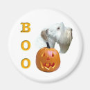 Search for boos magnets Halloween