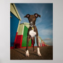 Search for beach front posters Nautical
