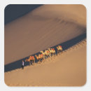 Search for caravans stickers Nature