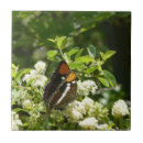 Search for sister tiles Floral