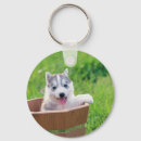 Search for husky puppy key rings Alaskan malamute