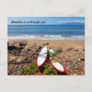 Search for surf board postcards Ocean