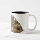 Search for natural science mugs Geology