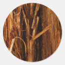 Search for cedar stickers Nature