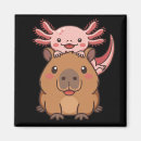 Search for animals magnets Funny