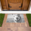 Search for fluffy white photography Animal