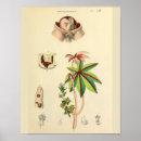 Search for position art Vintage
