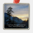 Search for smoky mountain christmas tree decorations National