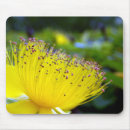 Search for flora mouse mats Plant