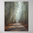 Search for mountain forest posters Woodland