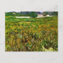 Search for auvers postcards Wheat fields