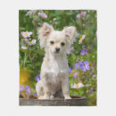 Search for chihuahua blankets Cute