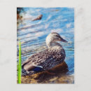 Search for dabble postcards Bird