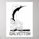 Search for sailfish posters Marlin