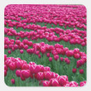Search for skagit valley stickers Flower