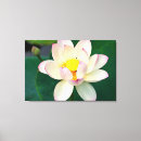Search for lotus flower canvas prints Pond