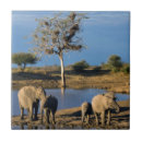 Search for african elephant tiles Colour image