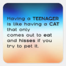 Search for motivational cat stickers Humour