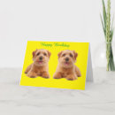 Search for norfolk cards Dogs