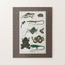 Search for reptile puzzles Lizard