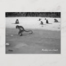 Search for koh phi phi postcards Beach