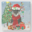 Search for schnauzer coasters Animal