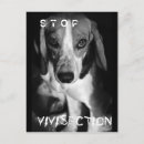 Search for vivisection postcards Animal